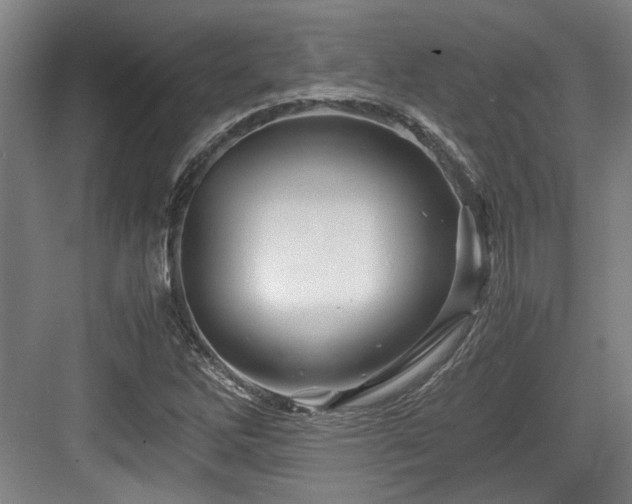 X0000084031262200702161425