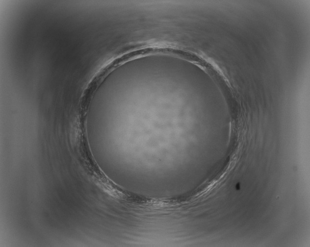 X0000084031263200702161425