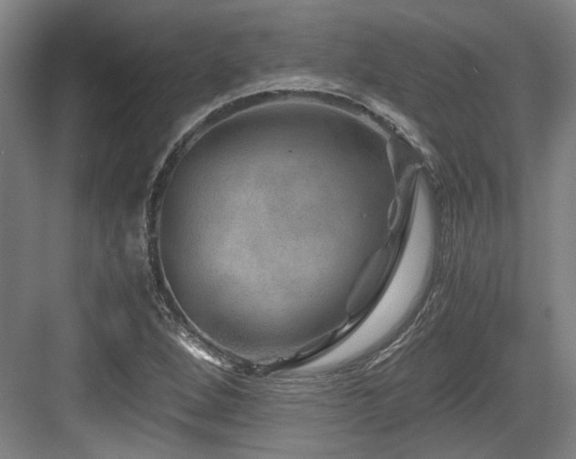 X0000084031264200702161425