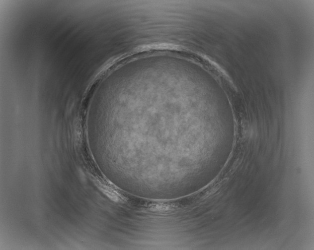 X0000084031266200702161425