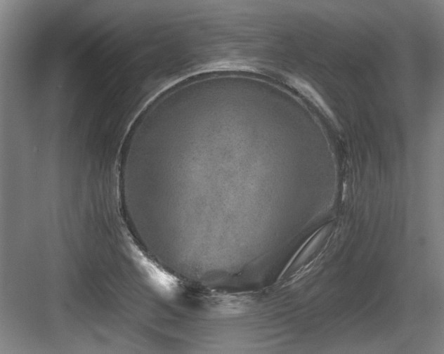 X0000084031268200702161425