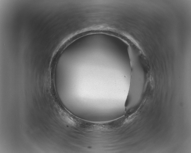 X0000084031270200702161425