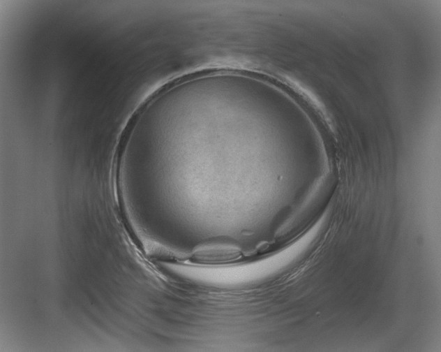 X0000084031272200702161425