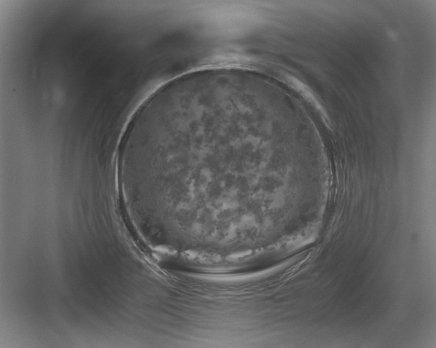 X0000084031275200702161425