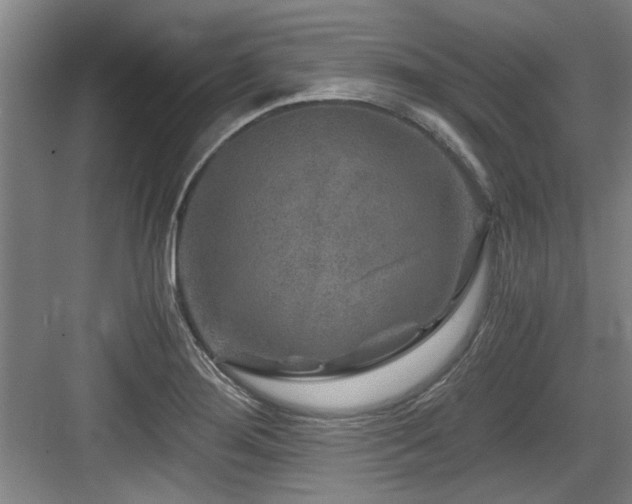 X0000084031276200702161425