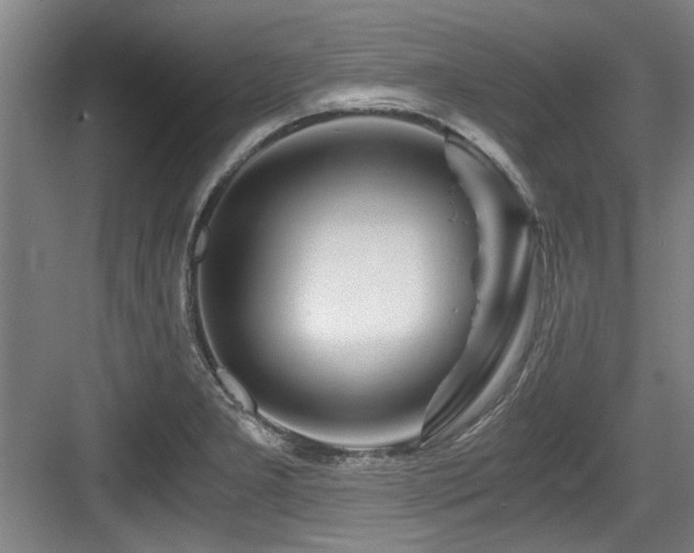 X0000084031277200702161425