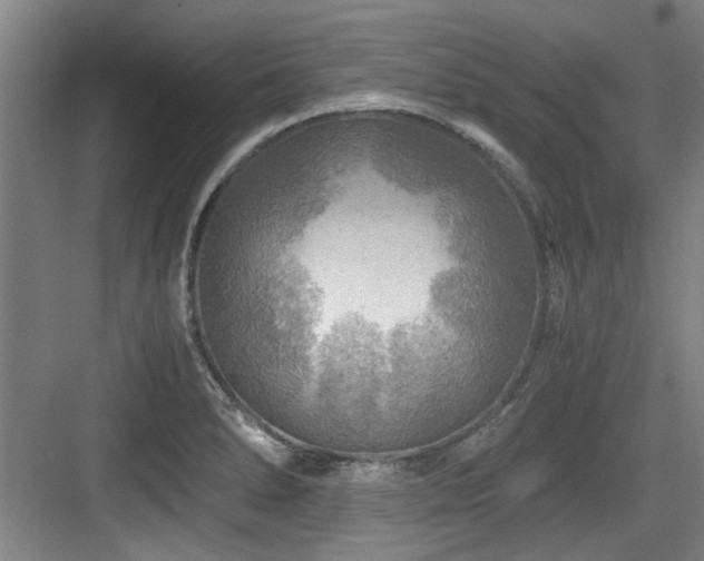 X0000084031278200702161425