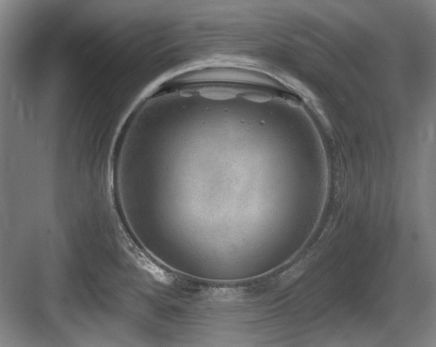 X0000084031280200702161425