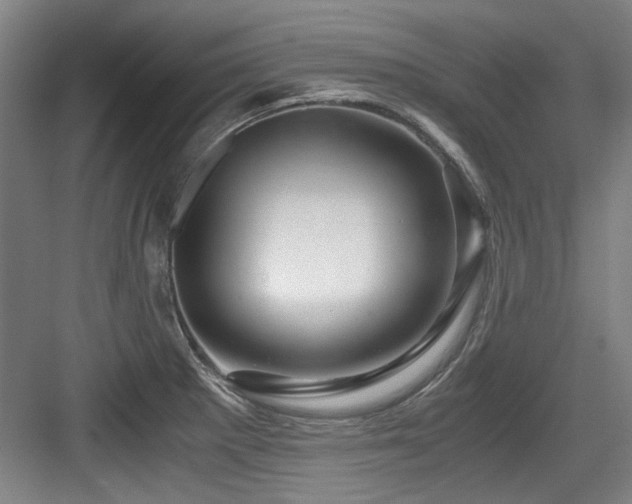 X0000084031281200702161425