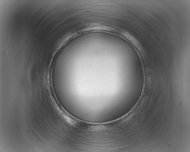 X0000084031282200702161425