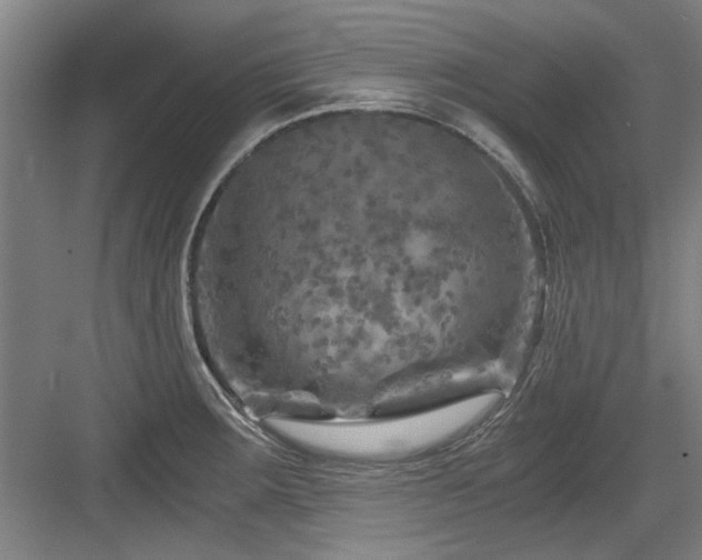 X0000084031283200702161425