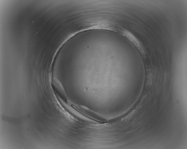 X0000084031284200702161425