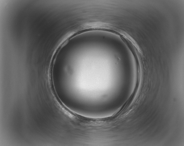 X0000084031285200702161425