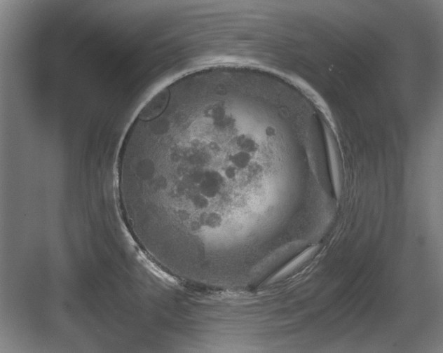 X0000084031287200702161425