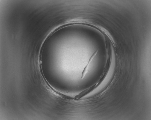 X0000084031288200702161425