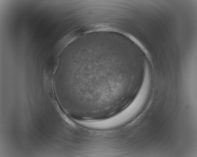 X0000084031289200702161425