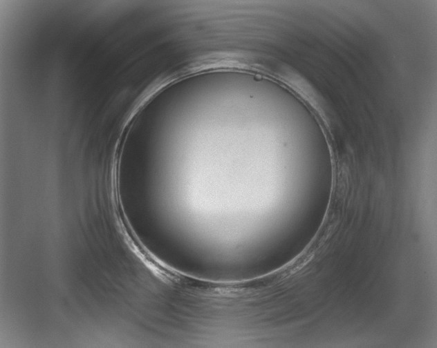 X0000084031290200702161425