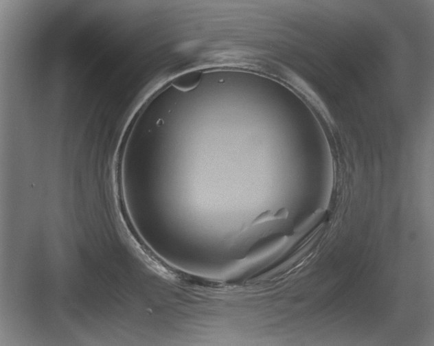 X0000084031291200702161425