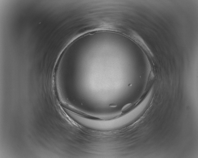 X0000084031292200702161425