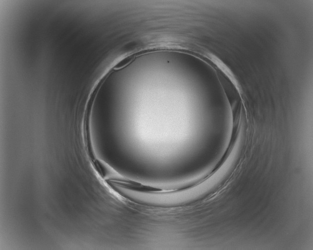 X0000084031293200702161425