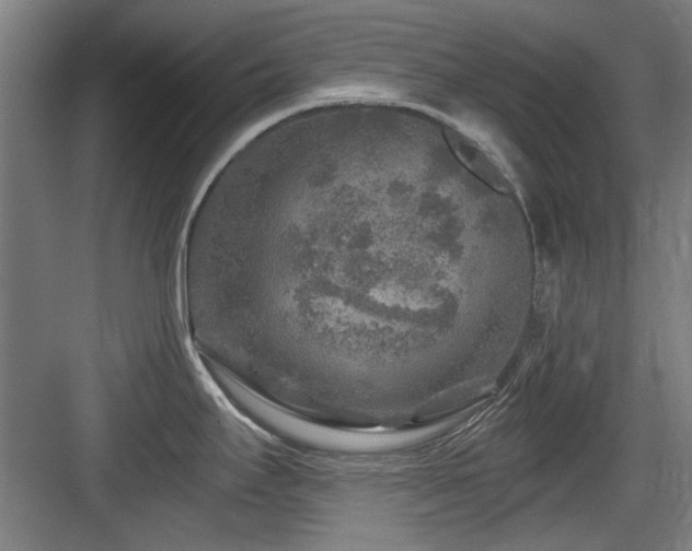 X0000084031295200702161425