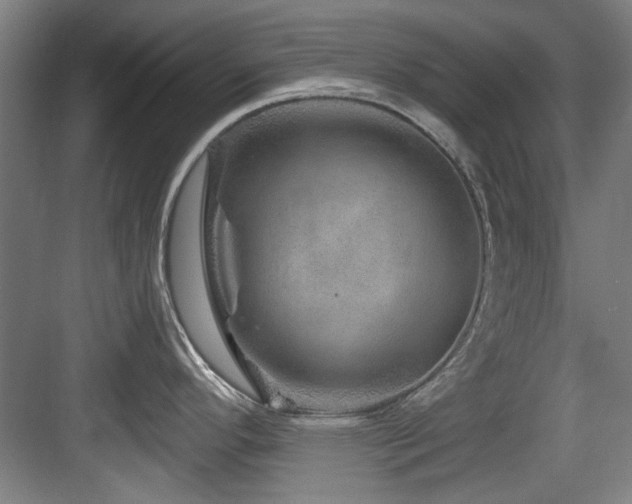 X0000084031296200702161425