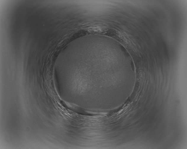 X0000084031297200702161424