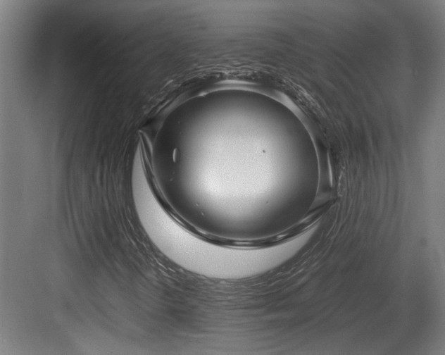 X0000084031298200702161424