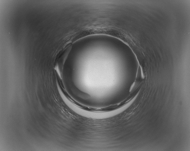 X0000084031300200702161424