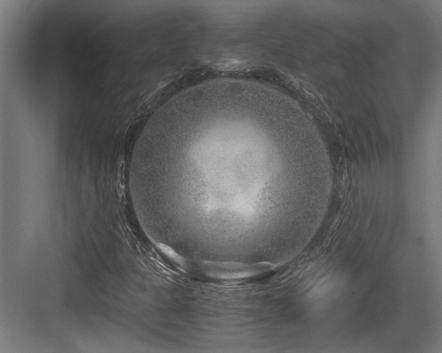 X0000084031301200702161424