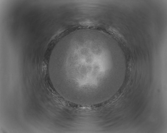 X0000084031302200702161424