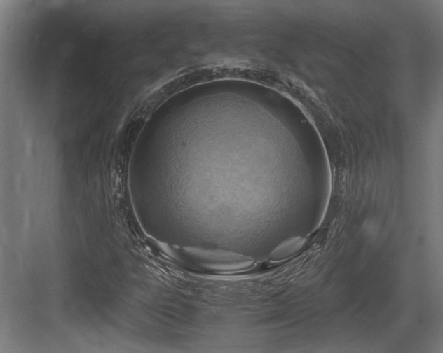 X0000084031303200702161424