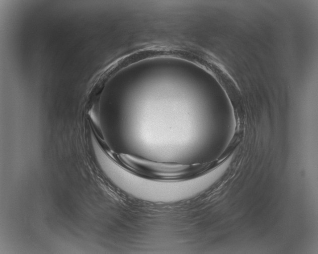 X0000084031304200702161424