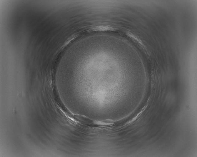 X0000084031305200702161424