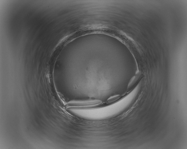 X0000084031306200702161424