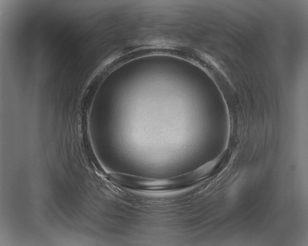 X0000084031307200702161424