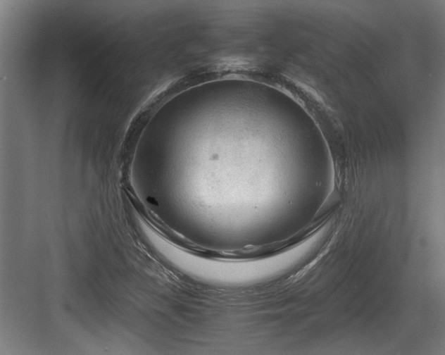 X0000084031309200702161424