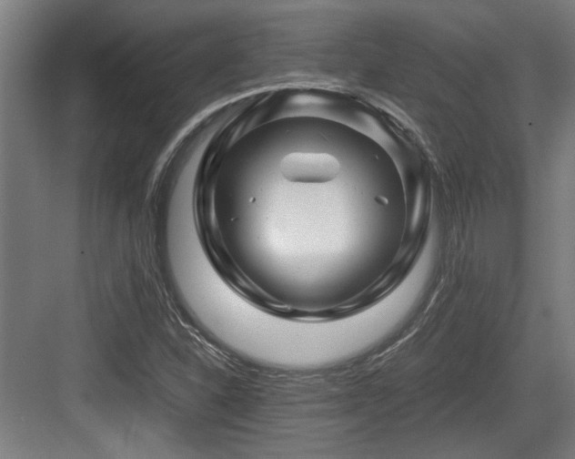 X0000084031310200702161424