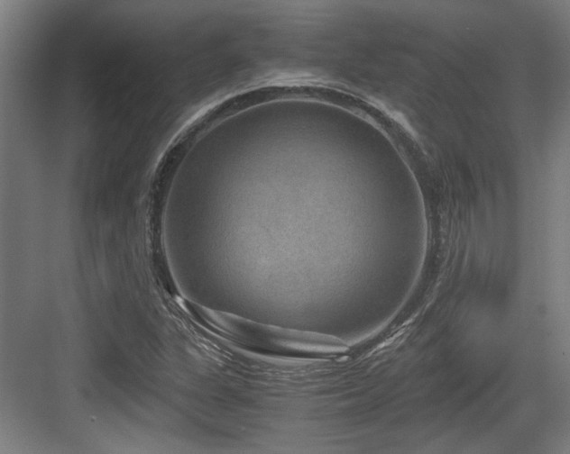 X0000084031311200702161424