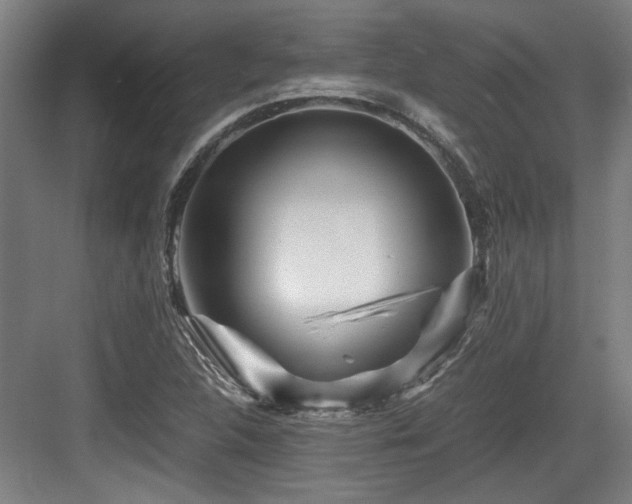 X0000084031312200702161424