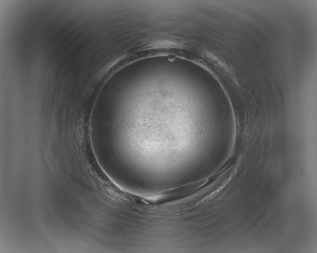 X0000084031313200702161424