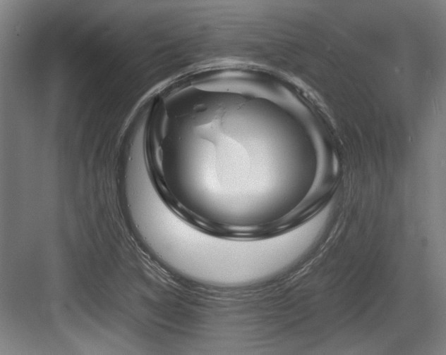 X0000084031314200702161424