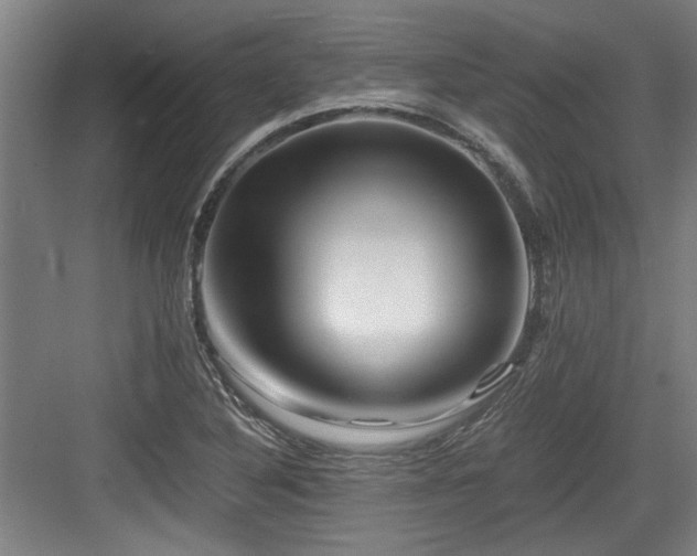 X0000084031316200702161424