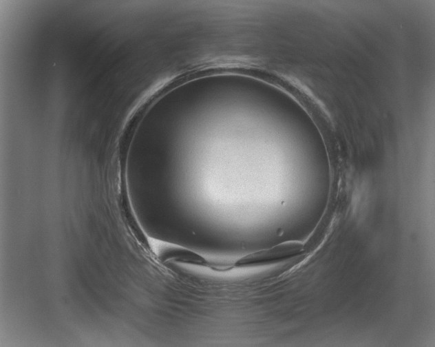 X0000084031317200702161424