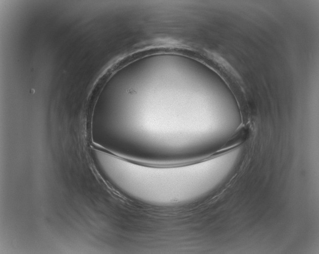 X0000084031318200702161424