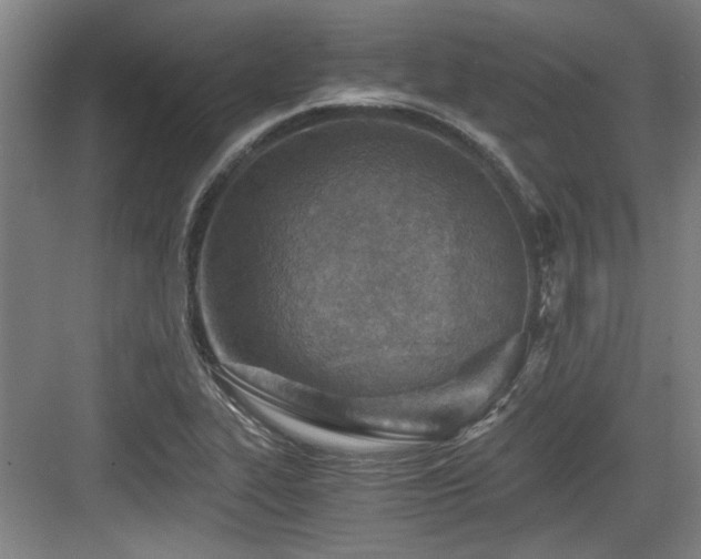 X0000084031319200702161424