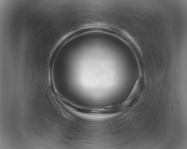 X0000084031320200702161424