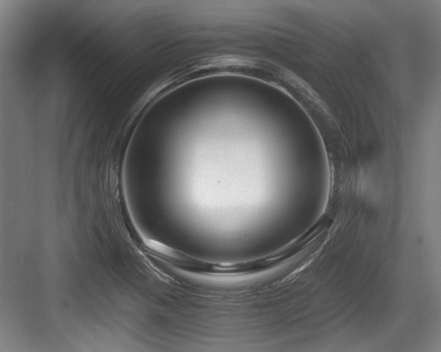 X0000084031321200702161424