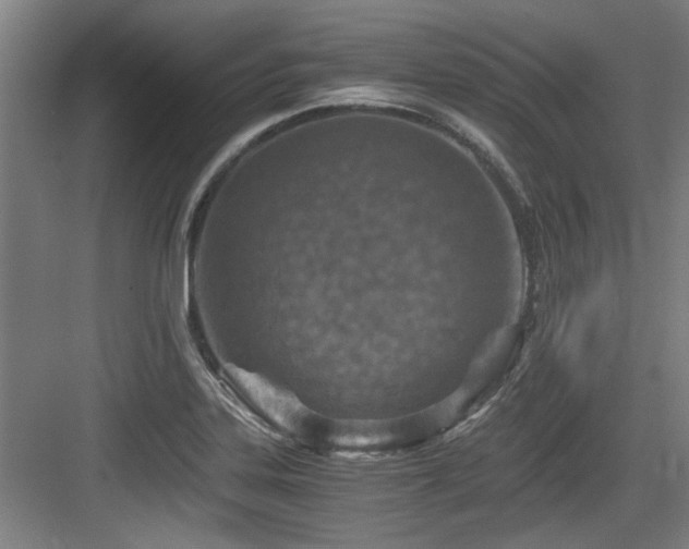 X0000084031323200702161424