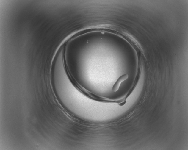 X0000084031324200702161424